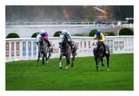 Res Judicata x Dark Absolu x Facts And Figures