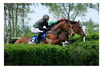 Prvomájová steeplechase