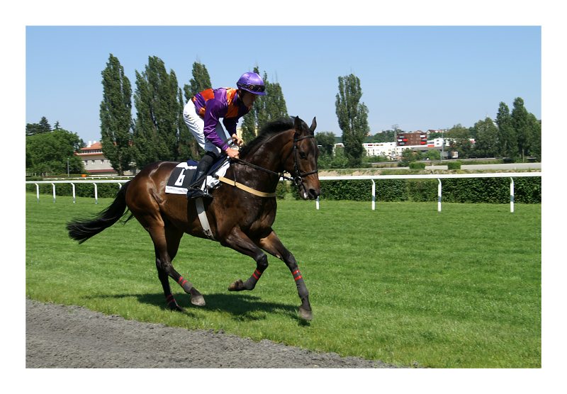 River Speed