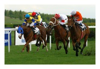 Lucky Horse x Mashrai x Cloven Hoof