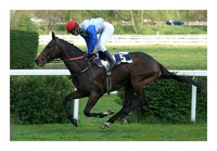 Roches Cross