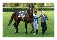 Roches Cross