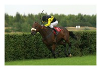 Lord Silvano