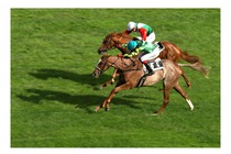 67. St.Leger