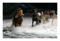 horse-sledge race