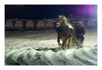 horse-sledge race