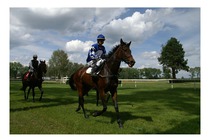 Handicap III. kategorie