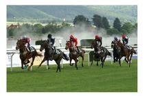 Jarní handicap