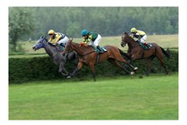 OAKS 2012