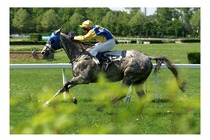 Úvodní cross country