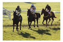 123. Velká pardubická steeplechase