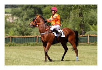 Le Cagnard