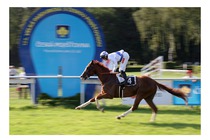 Bumper - Cena Jockey clubu