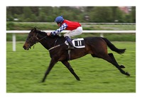 Accelerate