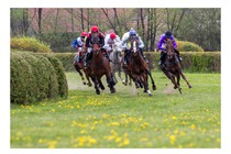 Steeplechase III.kategorie