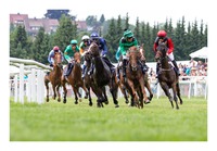 Beacon Cove x Pajette x Magic Moments