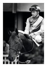 Chardonney Tcheque_U.Rispoli