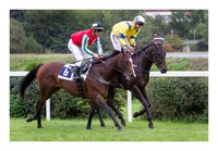 Dashing Home_F.Veron x Bright Sand_F.Minařík