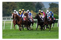 72. St. Leger