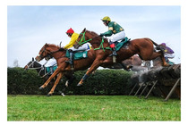 Cena jockey clubu ČR