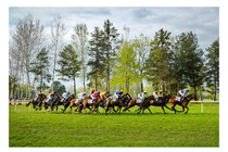 Prvomájová steeplechase