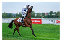 73. St. Leger