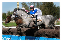 132.Velká pardubická steeplechase