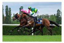 78. St. Leger